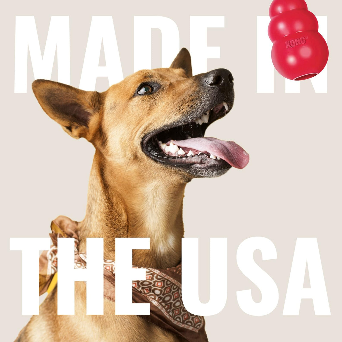 KONG Tug Toy, Natural Rubber Dog Toy for Tug of War, for Medium/Large Dogs