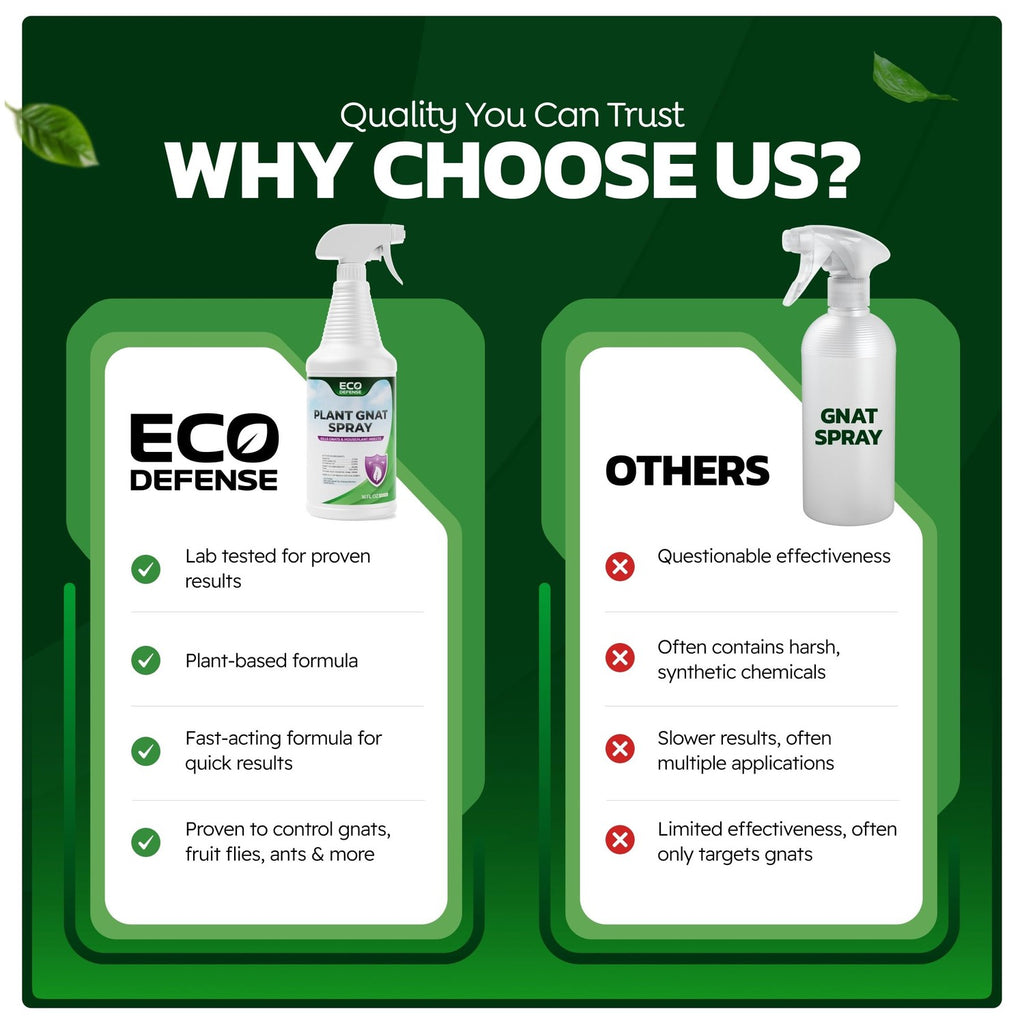 Eco Defense Plant Gnat Spray, Fungus Gnat Killer for Houseplant Soil