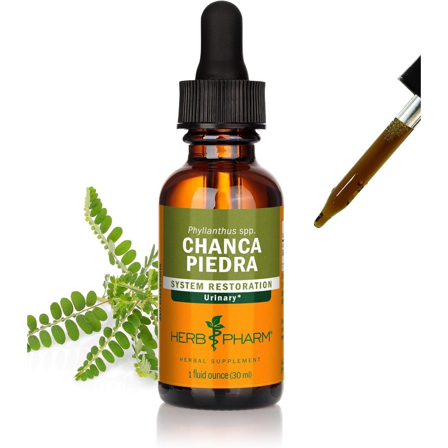 Buy now Herb Pharm Chanca Piedra Liquid Extract for Urinary System Support, 1 Fl Oz 1 Fl Oz (Pack of 1) at indiglob india