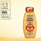 Garnier Whole Blends Honey Treasures Repairing Shampoo and Conditioner Set for Dry, Damaged Hair, 22 Fl Oz (2 Items), 1 Kit (Packaging May Vary)