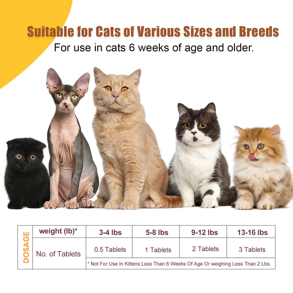 Dewormer for Cats & Kittens Broad Spectrum Cat Dewormer for Tapeworms,Hookworms & Roundworms