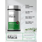 Horbäach Maca Root Capsules for Men and Women | 120 Pills | High Potency Extract | Non-GMO and Gluten Free Formula