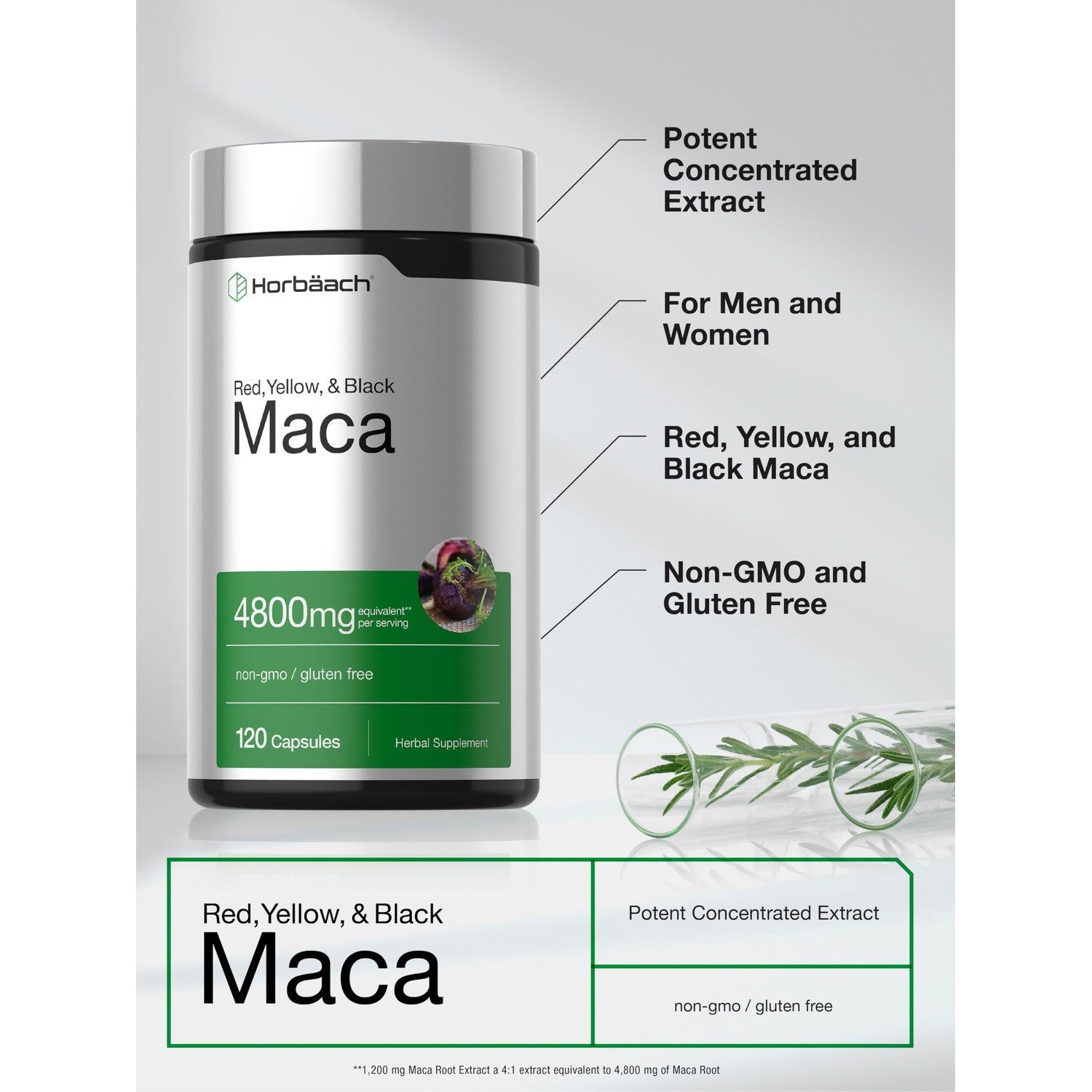 Horbäach Maca Root Capsules for Men and Women | 120 Pills | High Potency Extract | Non-GMO and Gluten Free Formula