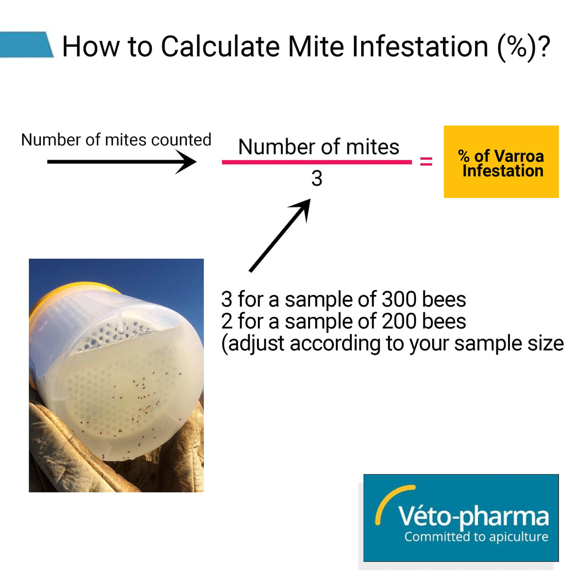 Foxhound Bee Company Varroa Easy Check Mite Tester