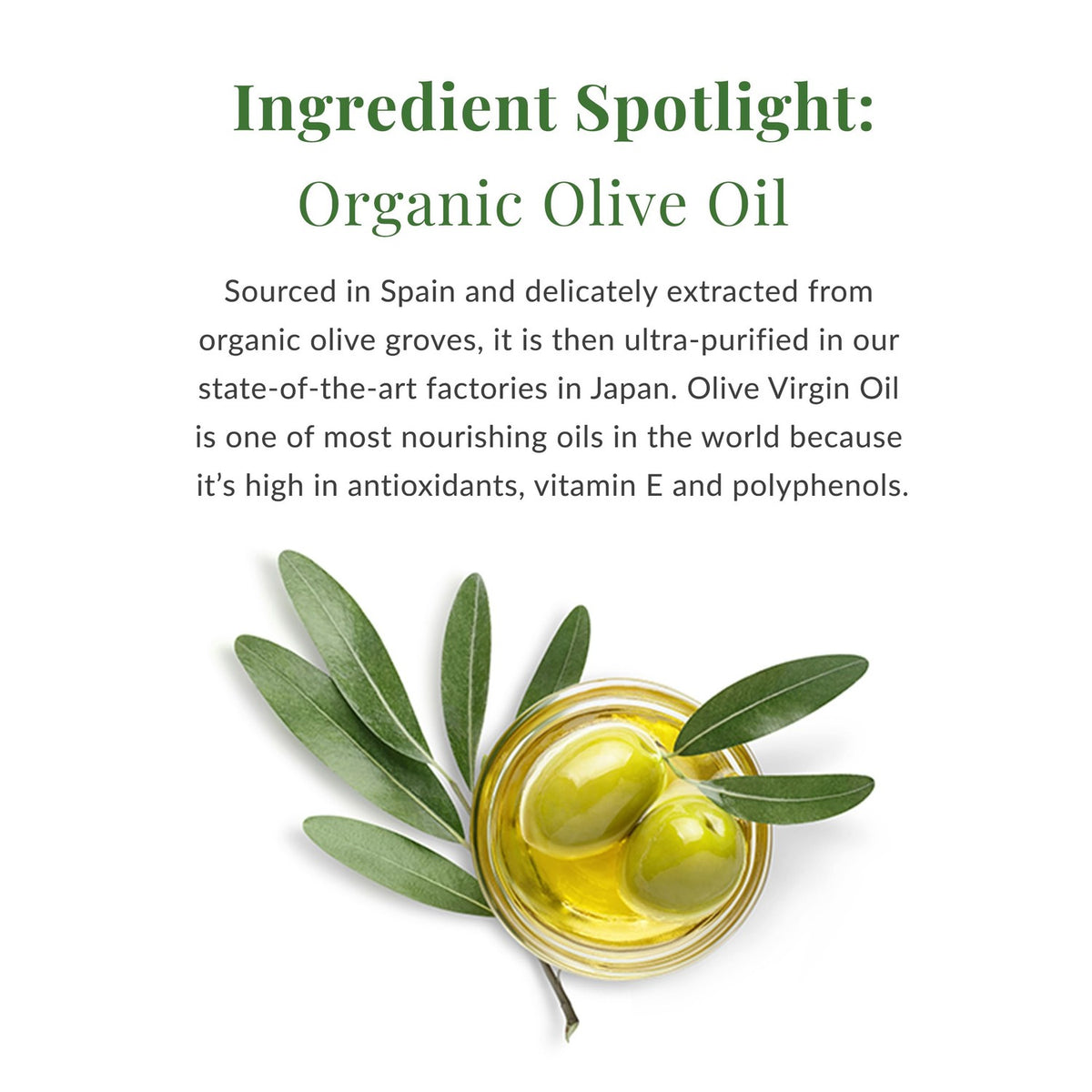 DHC Olive Virgin Oil Essential Cream, Ultra-Rich Skin Barrier Cream, 1.7 oz
