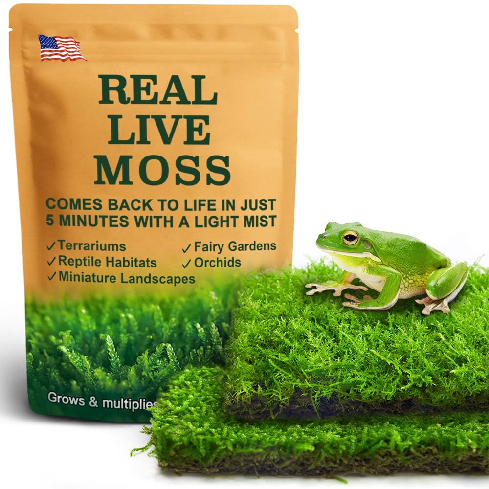 Live Moss Duo Pack 2 Types of Real Live Sheet/Sphagnum Moss for Terrariums, Terrarium Mosses Landscaping, Reptile Tank Accessories, Snake & Gecko Humidity Substrate Mosses for Crafts & Plant Décor