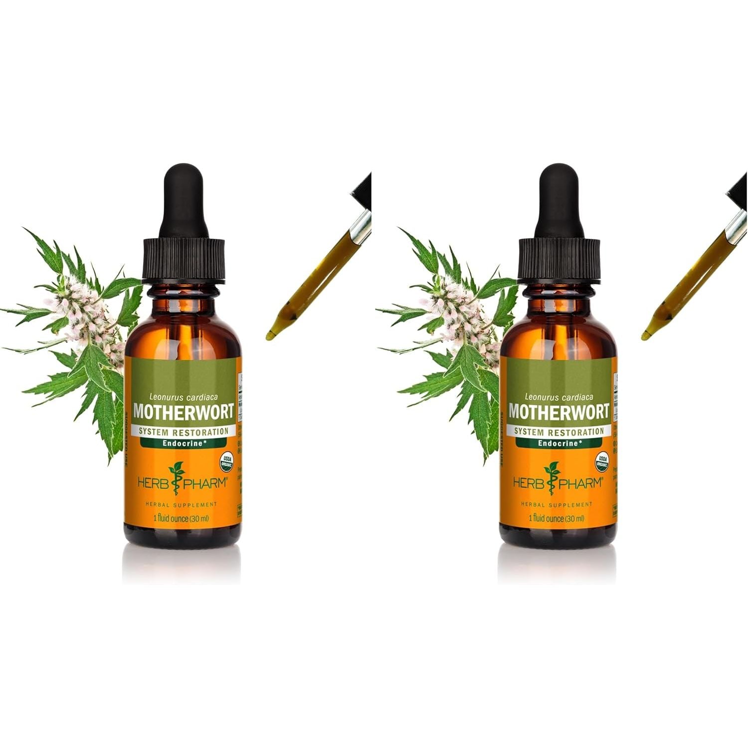 Buy now Herb Pharm Certified Organic Motherwort Liquid Extract for Endocrine System Support - 1 Ounce 1 Fl Oz (Pack of 2) at indiglob india