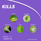 Bonide Systemic Granules Insect Killer 1 lb.