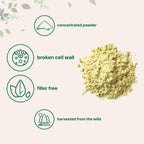 Pure Pine Pollen Powder, 6 Ounce, Wild Harvest an Broken Cell Wall, Supports Immune System Health, Boosts Energy, Antioxidant & Androgenic, No GMOs, Vegan Friendly