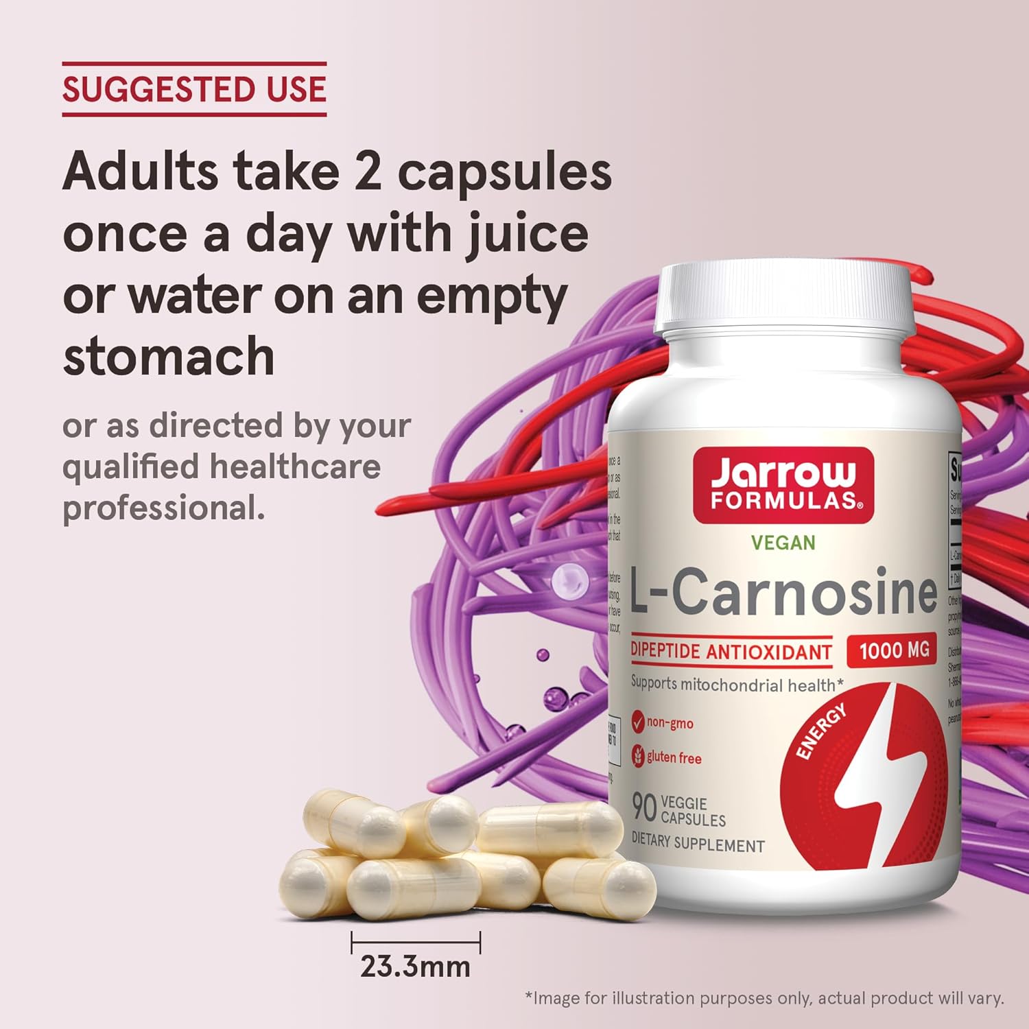 Buy now Jarrow FormulasÂ® L-Carnosine Dipeptide Antioxidant 1000 mg, Dietary Supplement, Antioxidant Support for Mitochondrial Health, 90 Veggie Capsules, Up to 45 Day Supply at indiglob india