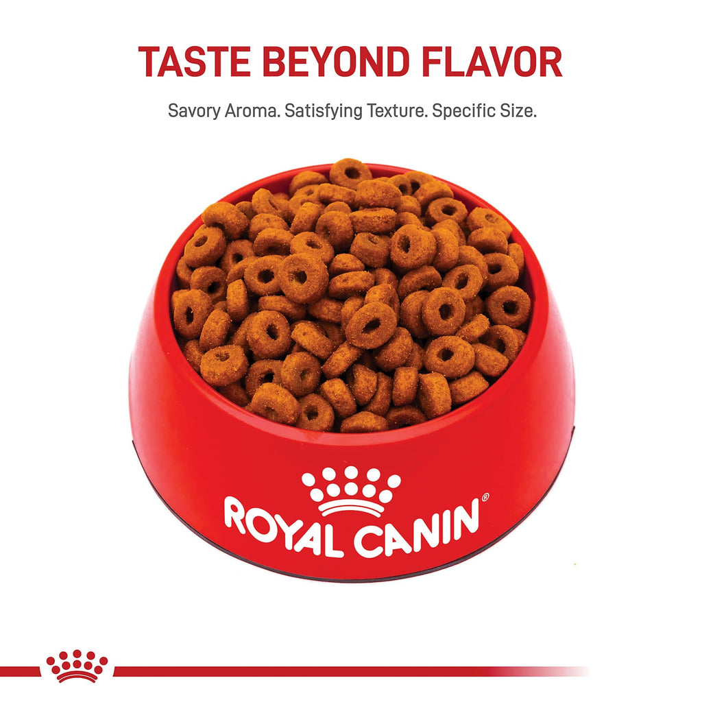 Royal Canin Size Health Nutrition Large Aging 8+ Senior Dry Dog Food, 30 lb Bag
