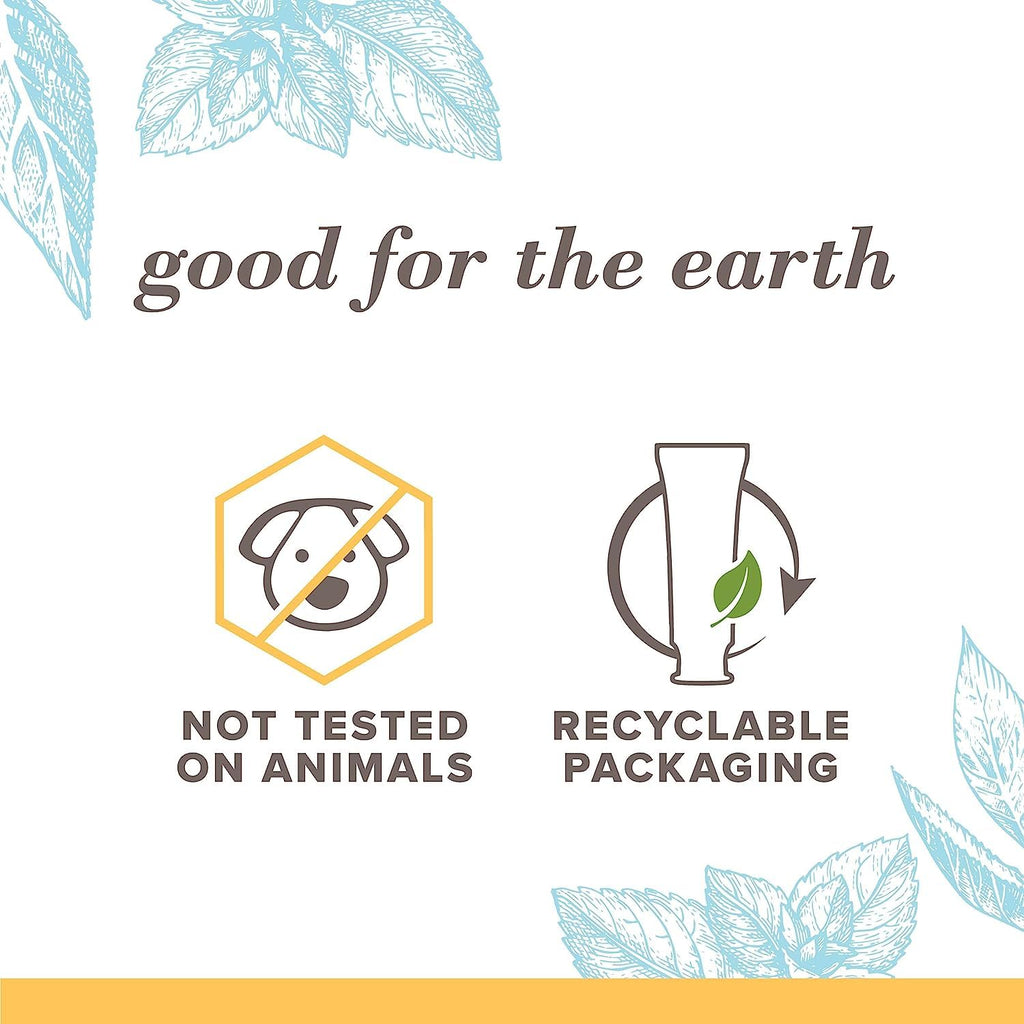 Buy now Burt's Bees Extra White Toothpaste, Fluoride Toothpaste, Natural Flavor, Mountain Mint, 4.7 oz, Pack of 3 at indiglob india