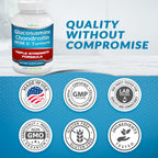 VitaBreeze Glucosamine Chondroitin MSM & Turmeric Supplement, 248 Capsules | Triple Strength Joint Support Supplement, Suitable for Men and Women