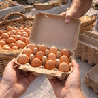 Egg Cartons 12 Count, 50 Pack Cardboard Egg Cartons Cheap Bulk, Reusable Paper Egg Holder for Supermarkets Kitchen
