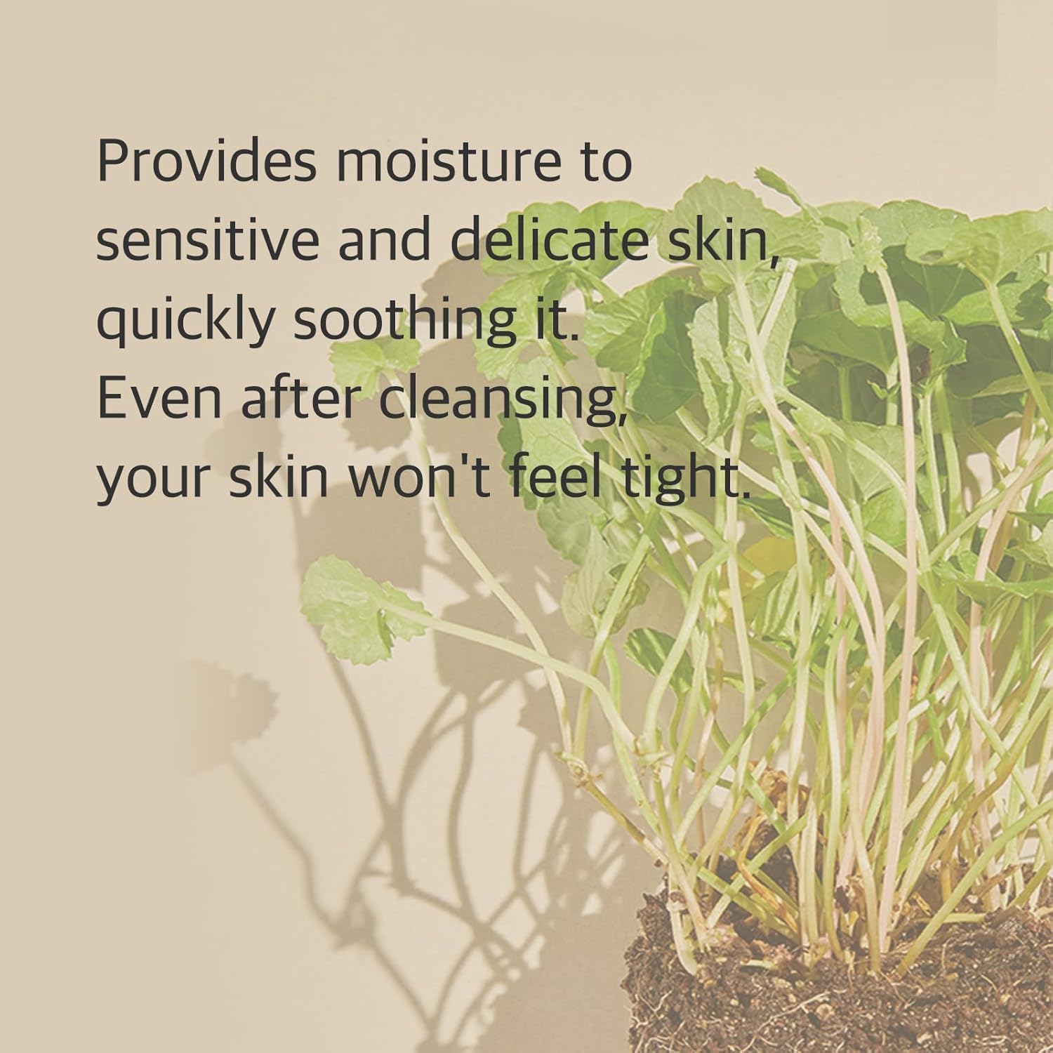 mixsoon Centella Cleansing Foam Face Wash with Cica, Low pH Cleansing and Soothing for Face, Hydrating Formula 150ml / 5.07 fl. oz. Korean Glass Skin Care