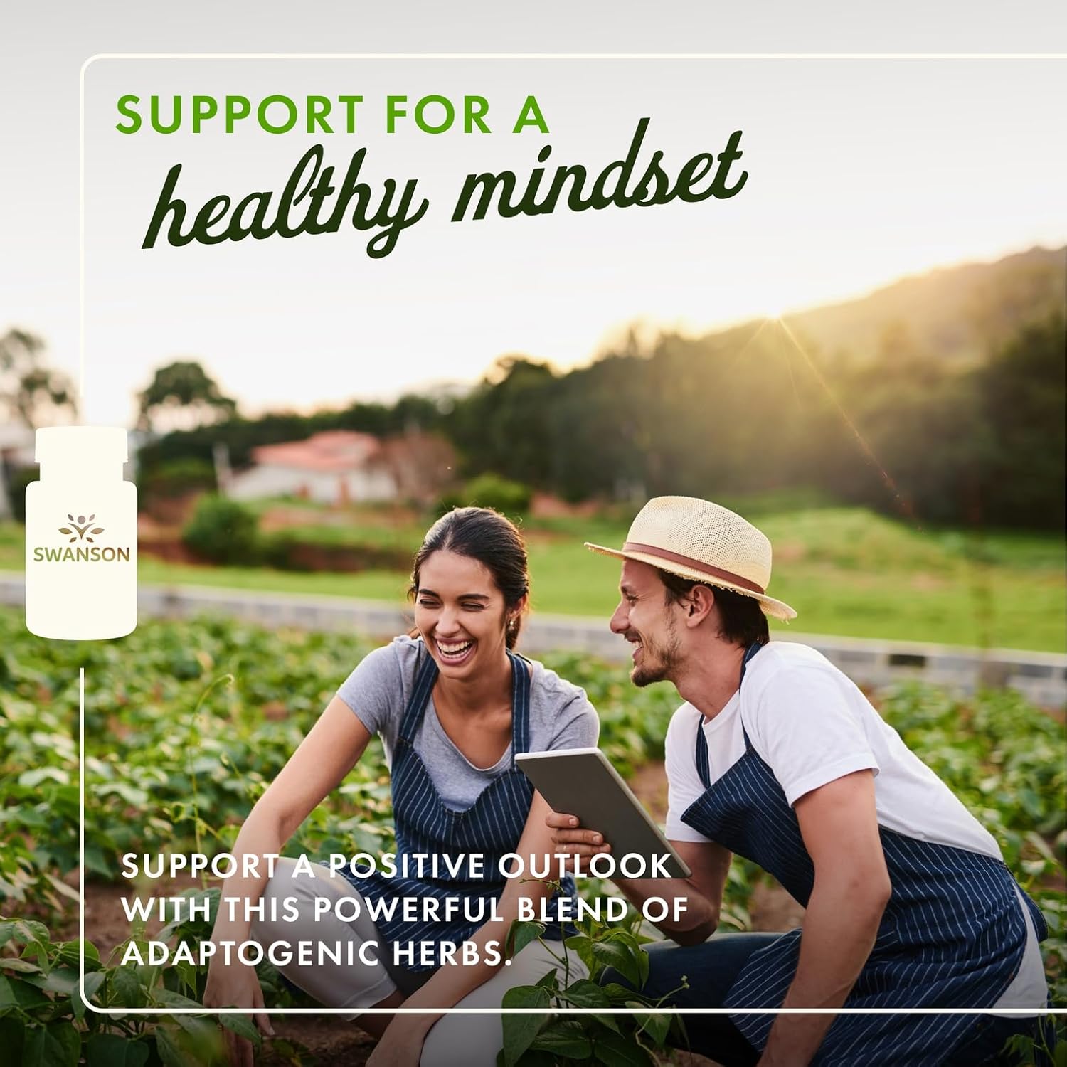 Buy now Swanson Rhodiola Ashwagandha Ginseng Complex Energy Immune Function Nervous System Stress Support Adaptogen Herb Supplement 60 Capsules at indiglob india