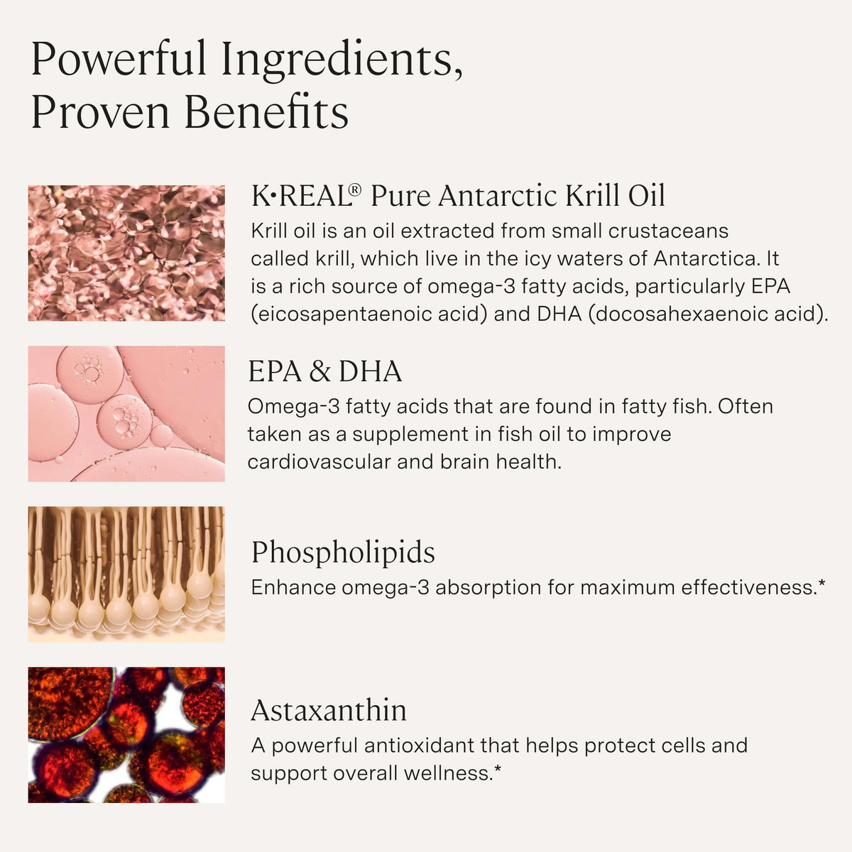Stonehenge Health Dynamic Krill Oil | Triple Strength Omega-3 1600mg - 60ct