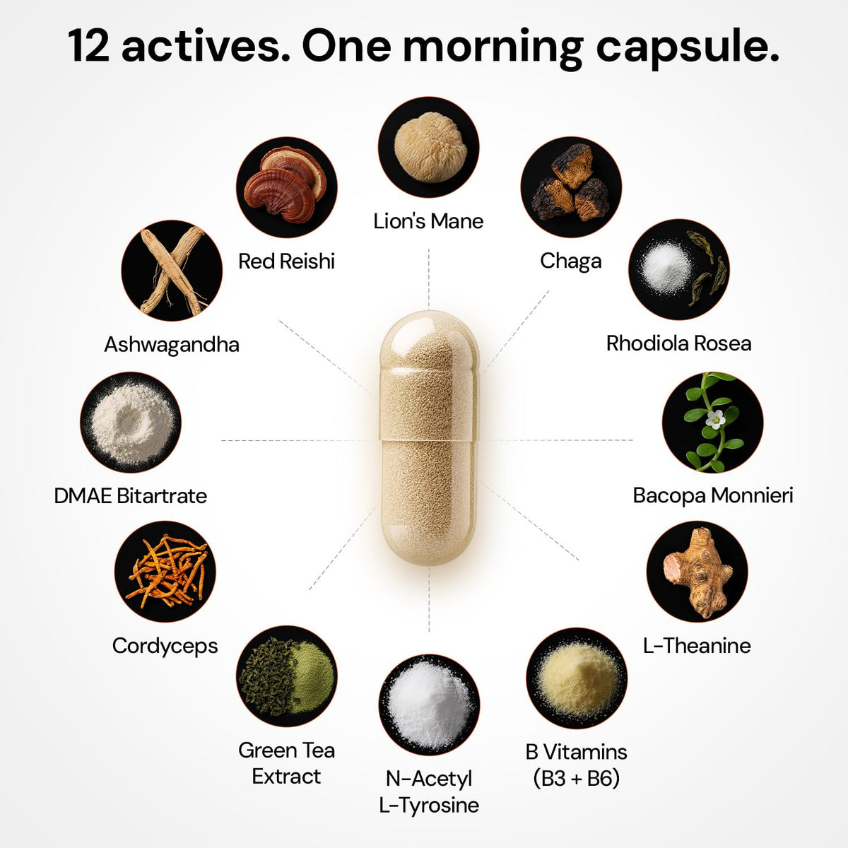 MINDHONEY | DOSE Daily Nootropic Brain Supplement | Focus, Energy, & Memory