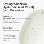 Buy now The Ordinary Hyaluronic Acid 2% + B5 (with Ceramides), Multi-Depth Hydration Serum for Plumper, Smoother Skin at indiglob india