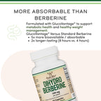 Dihydroberberine 100mg GlucoVantage, Metabolism, 60 Capsules | Metabolism Supplement, Gentler + Better-Absorbed Than Berberine, Patented GlucoVantage