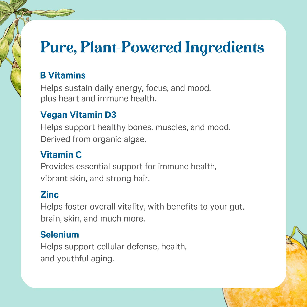 PURE SYNERGY Multi·Vita·Min for Men and Women (60 Tablets)