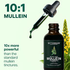 Betterbrand Mullein Drops, Alchohol-Free Lung Detox with Chlorophyll | 30:1 Mullein Leaf Tincture, Lung Cleanse, Long-Term Lung & Respiratory Health, Mullein Drops Supplement, Improved Airflow