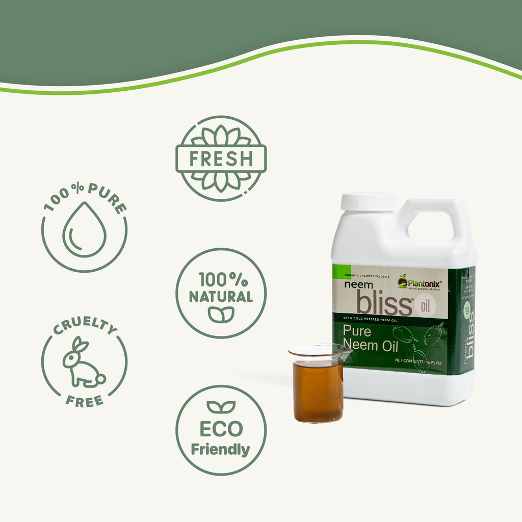 Neem Bliss (8 Fl Oz) - Pure Neem Oil Concentrate - 100% Cold Pressed Neem Oil - All-Natural Neem Oil Concentrate - Pure Neem Oil Extract - Unrefined Neem Oil for Hair - Neem Seed Oil Concentrate