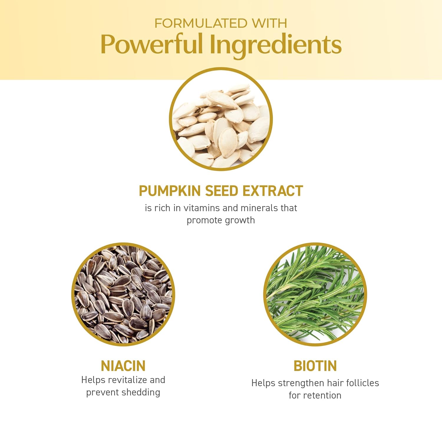 Buy now BosDefense Nourishing Shampoo, Conditioner, and Kit for Light Thinning Hair, Hair Thickening Formula, Color Safe, Starter Set and Multiple Sizes at indiglob india