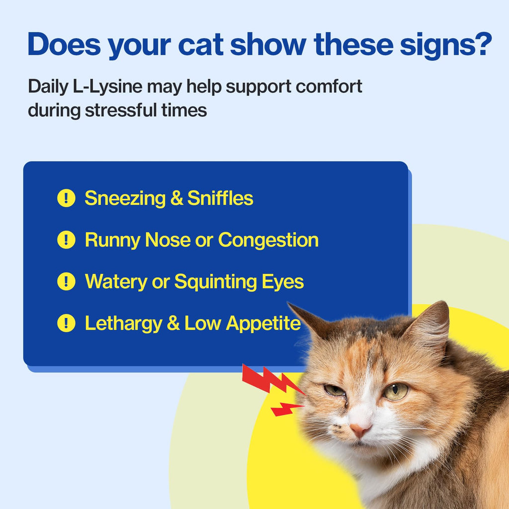 Doctor By FELYSIN L-Lysine for Cats Lickable Immune Support Supplement Allergy Relief, Sneezing, Runny Nose, Cold, Watery Eyes Respiratory Health with Beta-Glucan & Taurine – 30 Individually Packaged