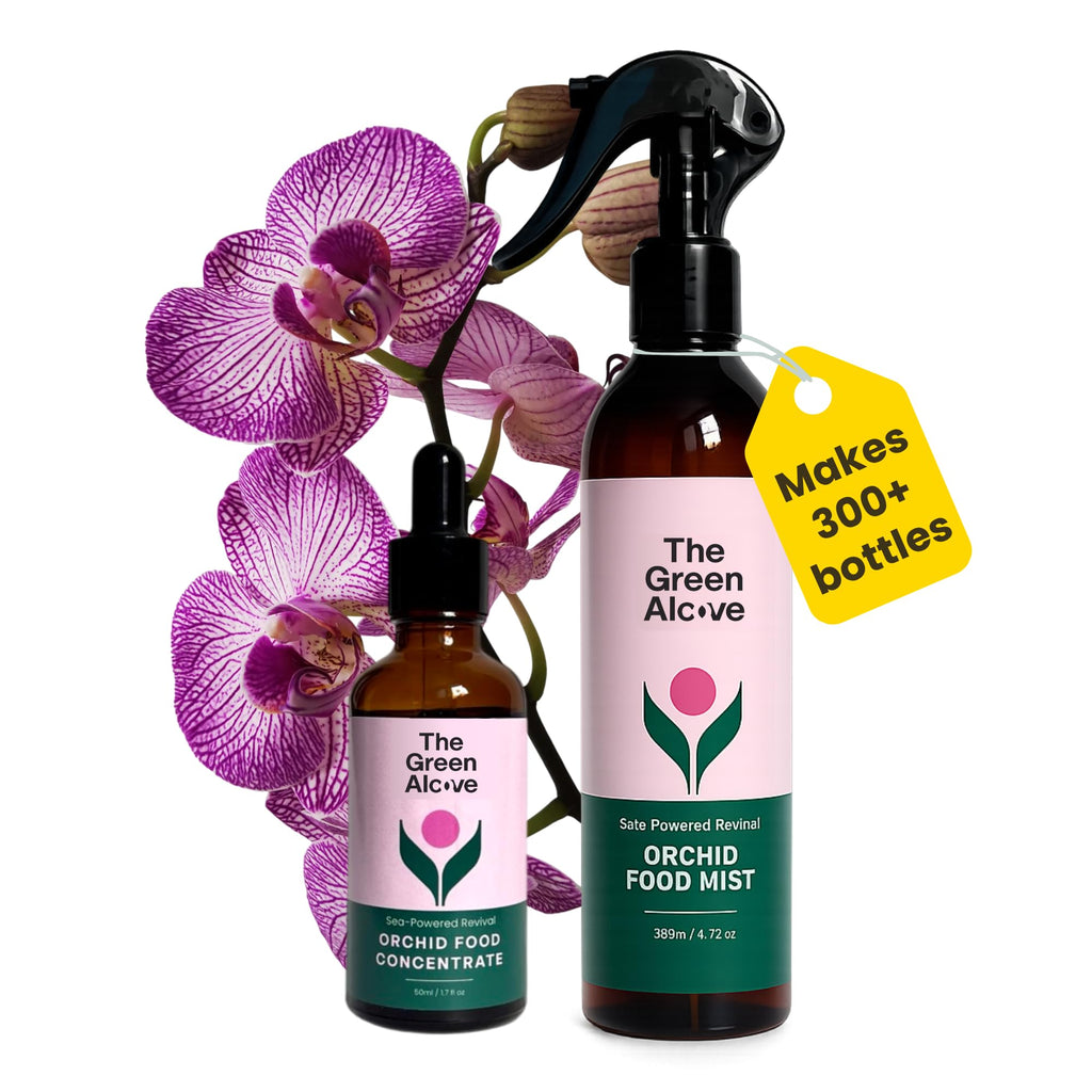 Orchid Fertilizer Spray Kit | Orchid Food Spray for Blooming & Root Health, Enriched with Seaweed Extract (Makes Total 130 fl oz)