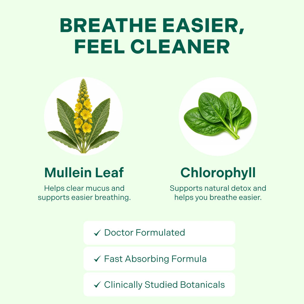 Betterbrand Mullein Drops, Alchohol-Free Lung Detox with Chlorophyll | 30:1 Mullein Leaf Tincture, Lung Cleanse, Long-Term Lung & Respiratory Health, Mullein Drops Supplement, Improved Airflow