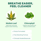 Betterbrand Mullein Drops, Alchohol-Free Lung Detox with Chlorophyll | 30:1 Mullein Leaf Tincture, Lung Cleanse, Long-Term Lung & Respiratory Health, Mullein Drops Supplement, Improved Airflow