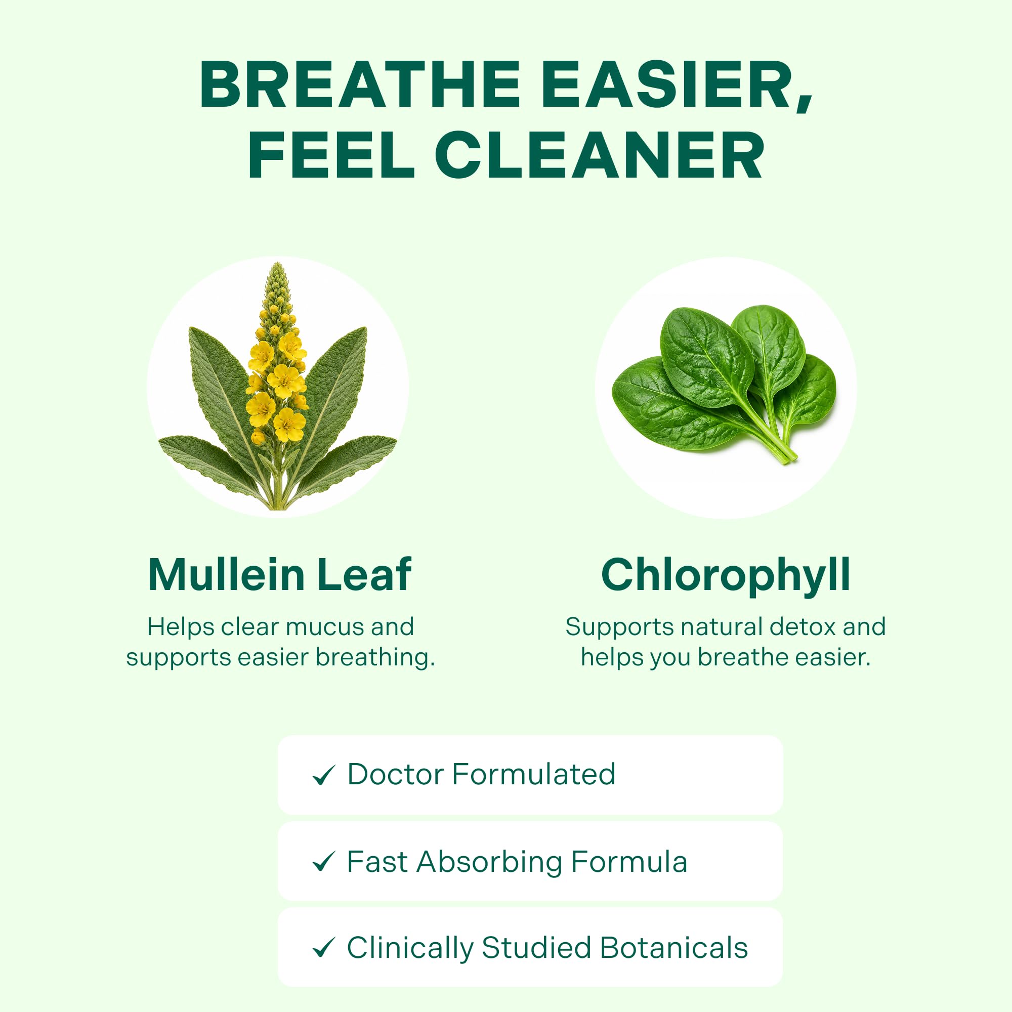 Betterbrand Mullein Drops, Alchohol-Free Lung Detox with Chlorophyll | 30:1 Mullein Leaf Tincture, Lung Cleanse, Long-Term Lung & Respiratory Health, Mullein Drops Supplement, Improved Airflow