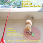 MeoHui Cat Toys for Indoor Cats, Interactive Cat Toy 2PCS Retractable Wand Toy and 9PCS Cat Feather Toys Refills, Funny Kitten Toys Cat Fishing Pole Toy for Bored Indoor Cats Chase and Exercise