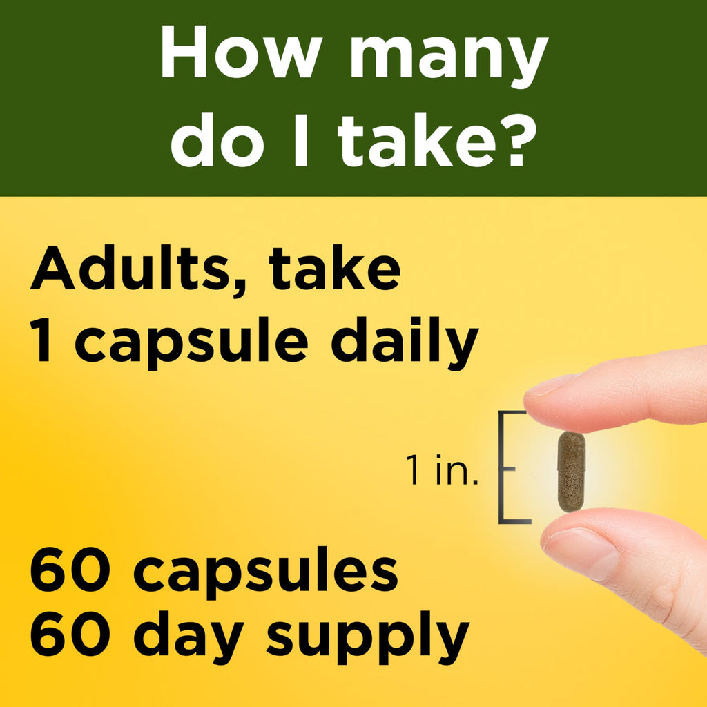 Nature Made Ashwagandha Capsules 125mg for Stress Support, 60 Capsules | Ashwagandha Supplements with Clinically Studied Sensoril Ashwagandha, Herbal Supplement for Men and Women, 60 Day Supply