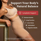 26-in-1 Liposomal Lymphatic Drainage Drops with Turmeric,Echinacea | Vitamins, Dandelion, Zeolite for Swelling, Bloating, Immune, Lung Support, Vegan, Alcohol-Free, Strawberry Flavor, 2 fl oz