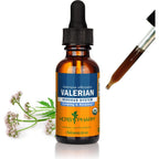 Herb Pharm Valerian Alcohol-Free Extract: Organic Liquid Glycerite for Sleep & Relaxation, Calming Nighttime Sleep Support Supplement for Adults, Sugar-Free, Up to 24 Week Supply, 4 oz
