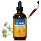 Herb Pharm Valerian Alcohol-Free Extract: Organic Liquid Glycerite for Sleep & Relaxation, Calming Nighttime Sleep Support Supplement for Adults, Sugar-Free, Up to 24 Week Supply, 4 oz