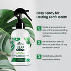 Leaf Shine Spray for Indoor Plants, Ready to Use Mist, 8oz