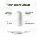Deal Supplement Magnesium Citrate 500mg, 240 Capsules | One a Day, Easily Absorbed, Purified Trace Mineral – Non-GMO