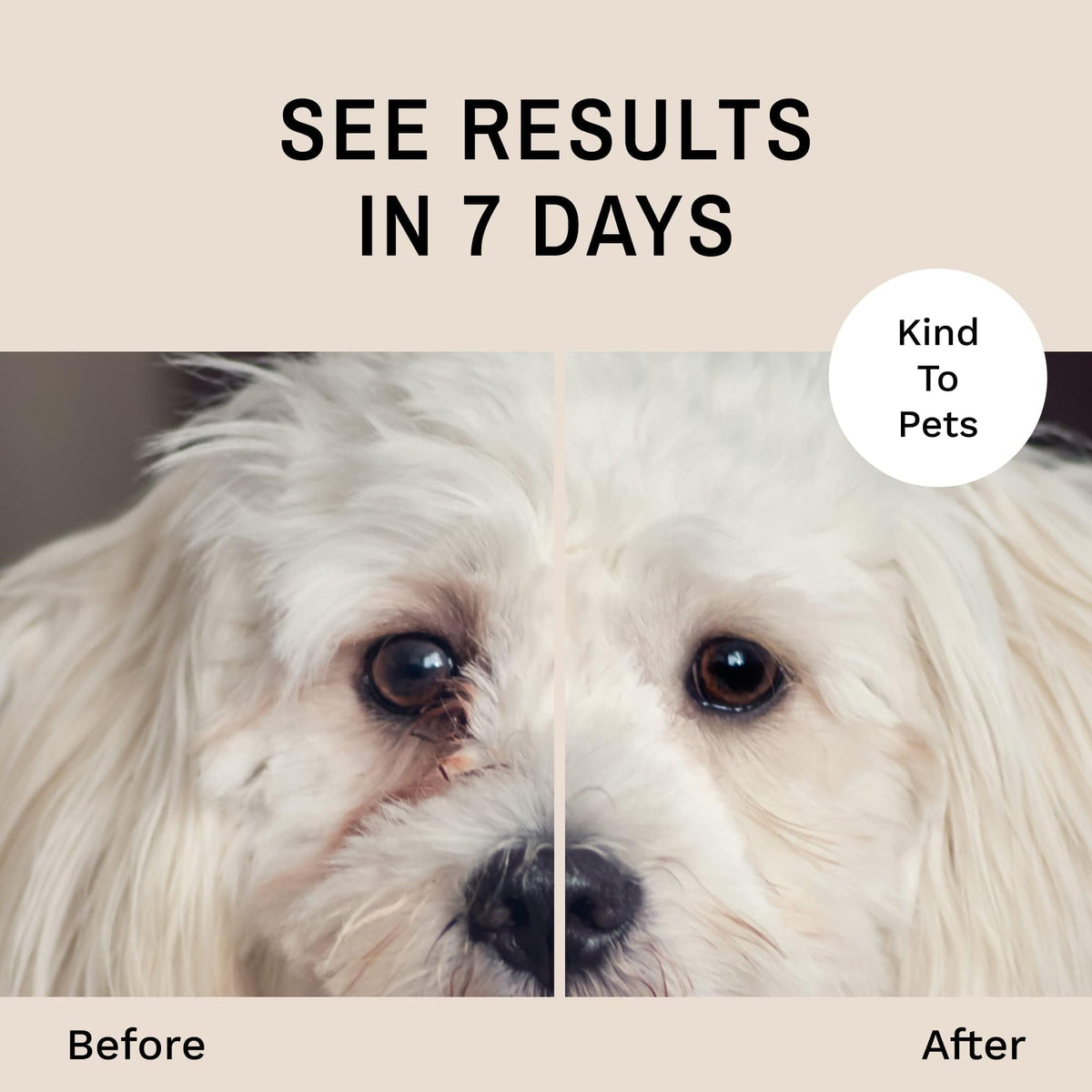 Eye Envy Tear Stain Wipes for Dogs. Textured to Gently Clean. Presoaked in Natural Formula. Recommended by AKC Breeders, Professional Groomers. Cleans Staining. USA Made. 60 Wipes