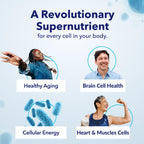 TRU NIAGEN NAD+ Supplement, Nicotinamide Riboside 300mg, 90 Daily Servings | Patented Niagen NR boosts NAD+ to support cellular energy and healthy aging. 300mg, one capsule daily — 90-day supply.