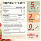 Probiotic Gummies, Probiotics for Gut Health, 0 Sugar - 60 Counts