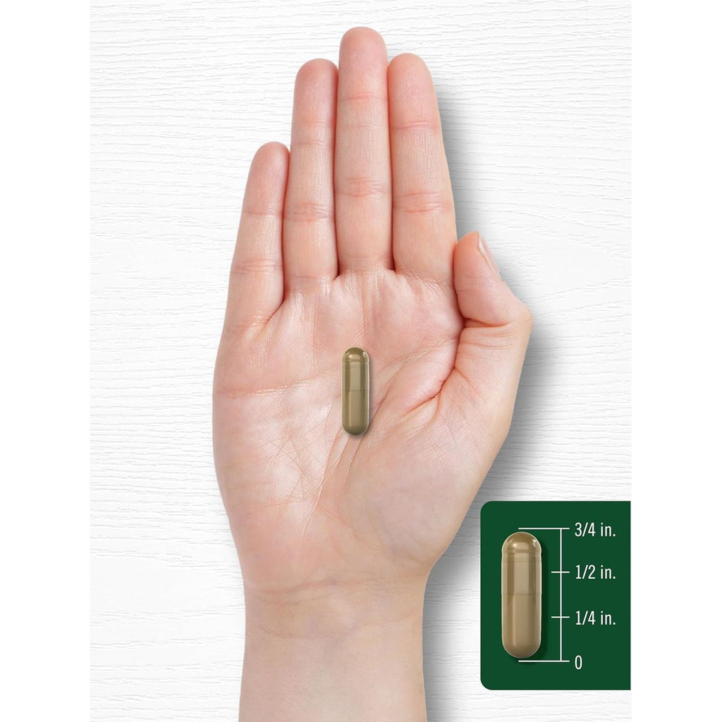Buy now Carlyle Ginkgo Biloba Pills | 6000mg | 200 Capsules | with Bacoba Extract | Extra Strength, Non-GMO and Gluten Free Herbal Supplement at indiglob india