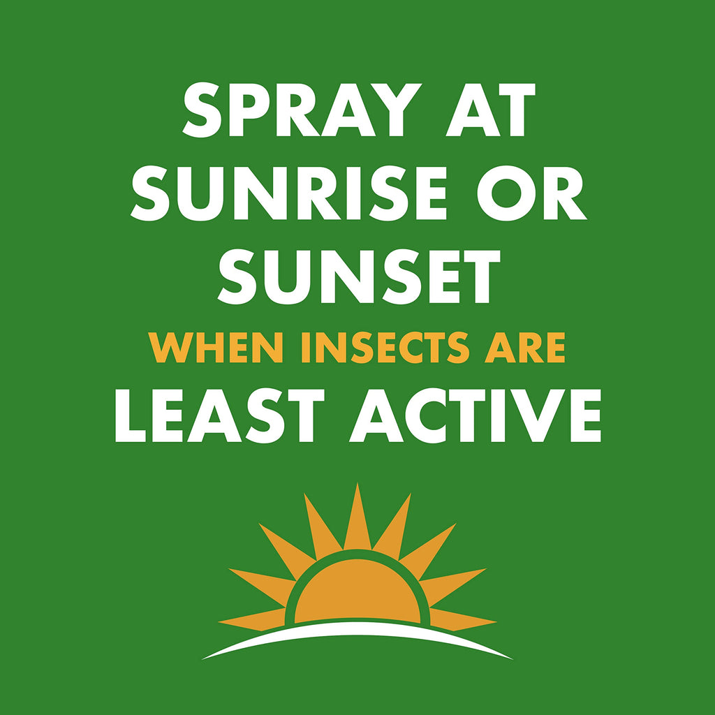 Spectracide Wasp & Hornet Killer Aerosol Spray 18.5 Oz, 12 Pack