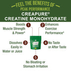 Creapure Creatine Monohydrate Powder. High Purity German Made Creatine | Pure and Unflavored with Nothing Else Added at All. For Men & Women. Zero Bloating, No Sugar, Vegan Friendly Supplement