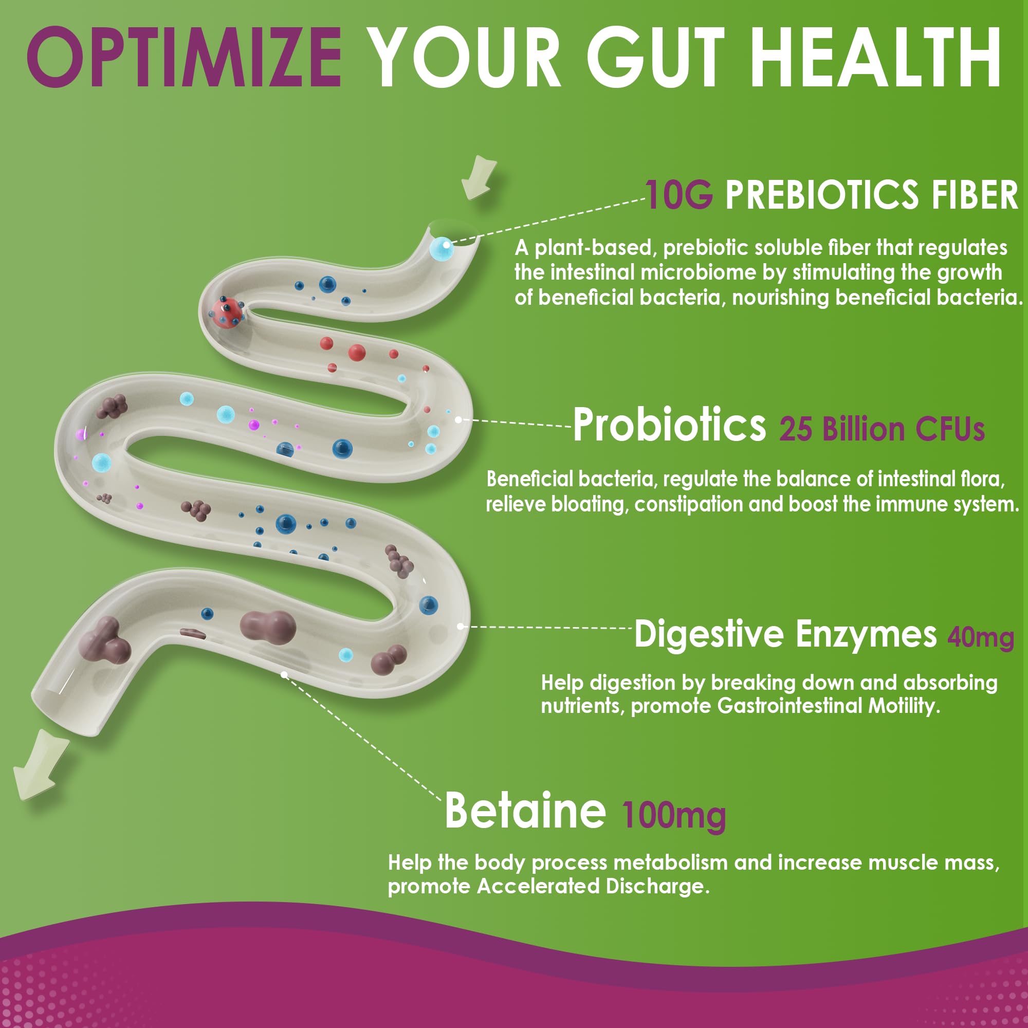 Fiber Gummies for Adults, GLP-1 Friendly 10g Prebiotic Fiber Gummies, 60Cts | Fiber Supplement + Enzymes, Probiotics & Betaine for Digestive & Gut Health and Regulate Bowel Movement, Vegan, Sugar Free