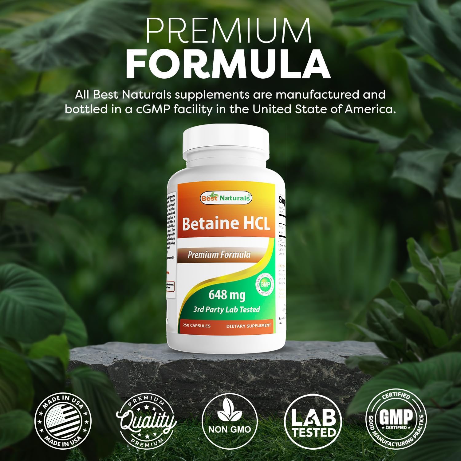 Buy now Best Naturals Betaine HCL 648 mg 250 Capsules at indiglob india