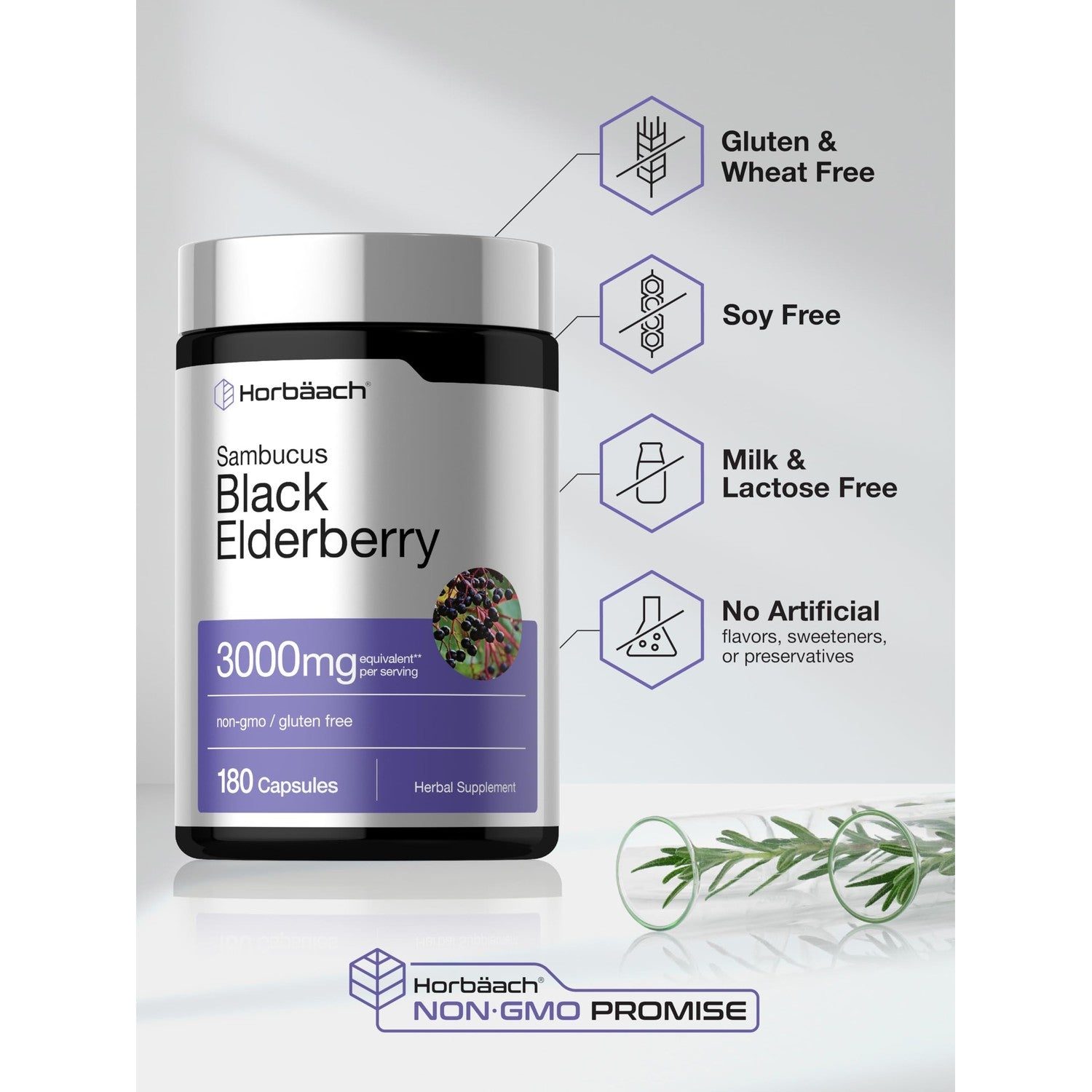 Horbäach Black Elderberry | 180 Capsules | Sambucus Extract Supplement | Non-GMO & Gluten Free