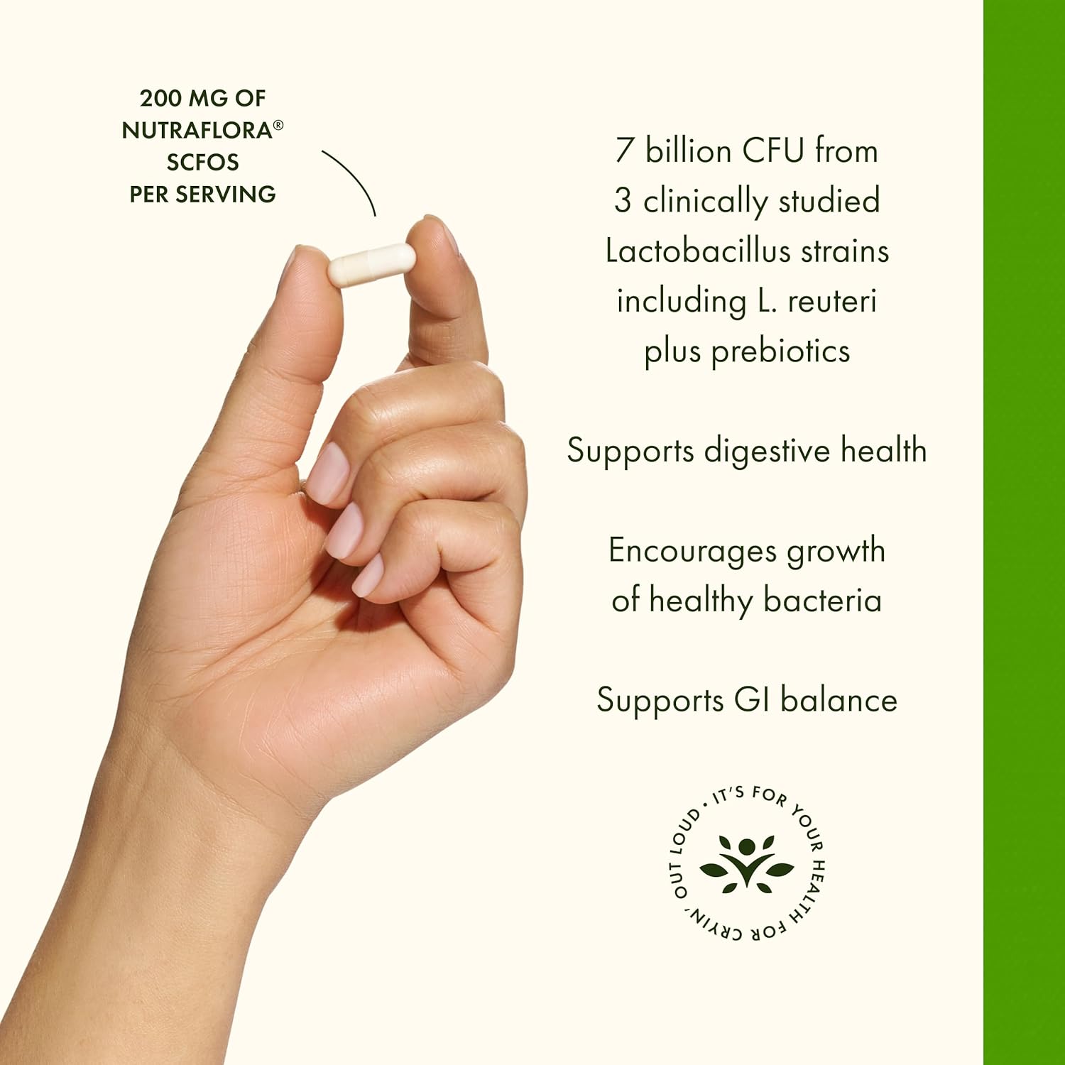 Buy now Swanson L. Reuteri Probiotic Plus w/L. Rhamnosus L. Acidophilus & FOS Prebiotic Digestive Support - Promotes Gut Health w/ 7 Billion CFU per Capsule - (30 Veggie Capsules) at indiglob india